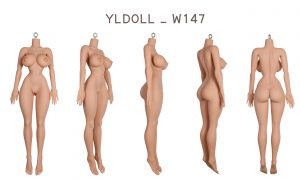 YL Doll TPE bodies