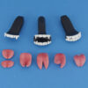 Vampire Teeth and Tongues set for TPE sex doll's heads